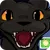 Gato